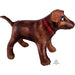 36'' Golden Dog Ultrashape Foil Balloon