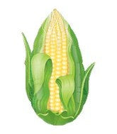 18'' Super Shape Corn Mylar Balloon