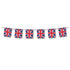 PPP GB BUNTING FLAG PLAS LGE7M