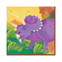 BEV/NAP PREHISTORIC PARTY 16PK